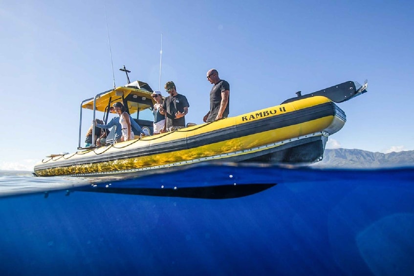 Picture 2 for Activity Oahu: North Shore Snorkeling Tour from Haleiwa