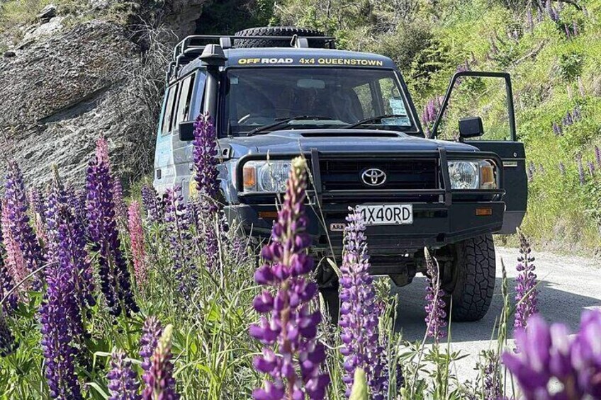 Queenstown's Ultimate Off-Road Experience