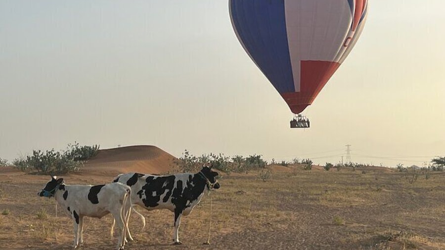 Ras Al Khaimah: Private Hot Air Balloon Ride near Dubai