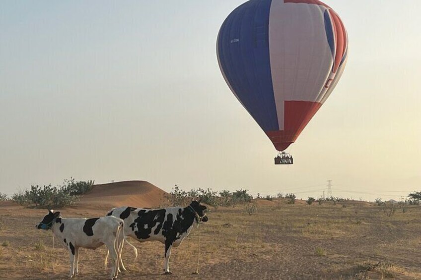 Private Hot Air Balloon Ride in Ras Al Khaimah near Dubai