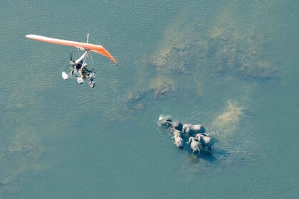 Chutes Victoria : Vol panoramique en ULM