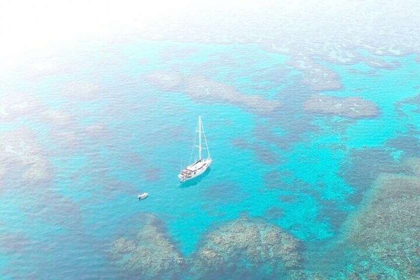 Reef drone photo - Major Tom - Sailing Vanuatu