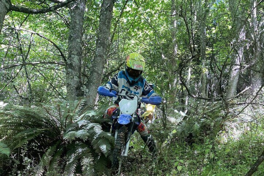 Dirt Bike Tour - Queenstown 