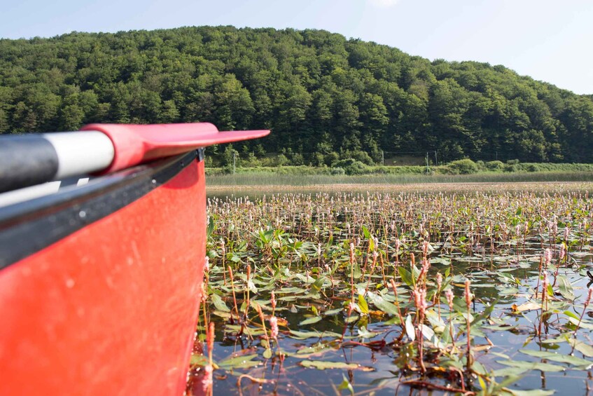 Picture 1 for Activity Matese Regional Park: canoeing on Matese Lake