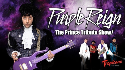 Purple Reign - Concerto tributo a Prince