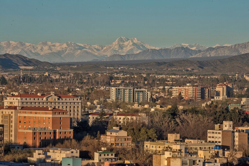 4 Epic Days in Mendoza Among Vineyards and Mountains