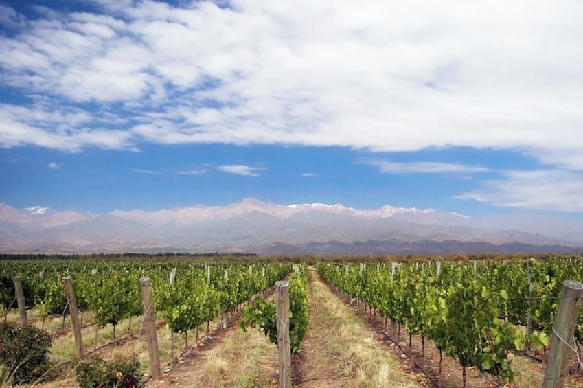 4-Days Essential Mendoza - City, Mountains & Wine!