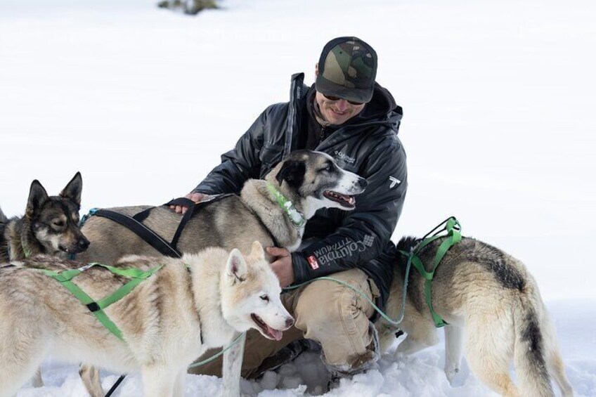 Private Dog Sled Tour