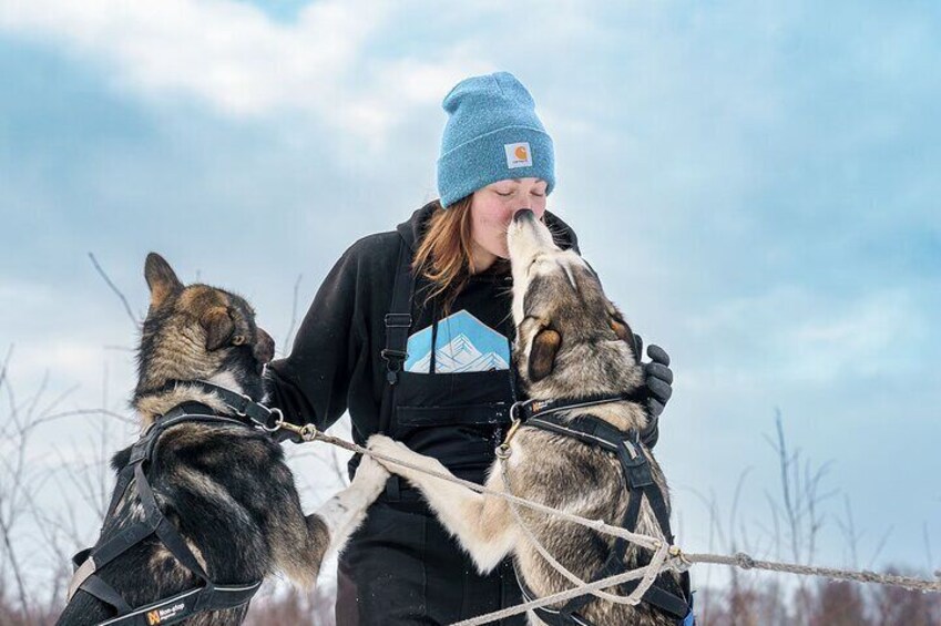 Private Dog Sled Tour