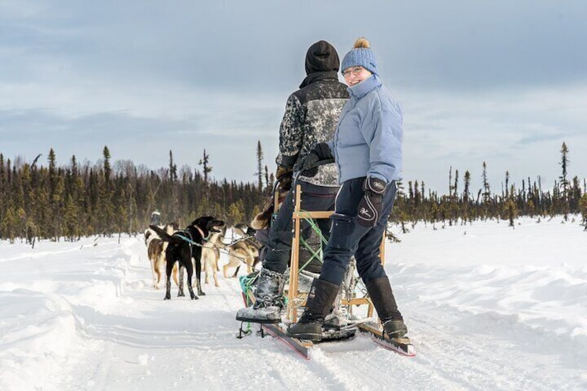 Private Dog Sled Tour