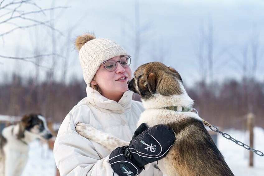 Private Dog Sled Tour