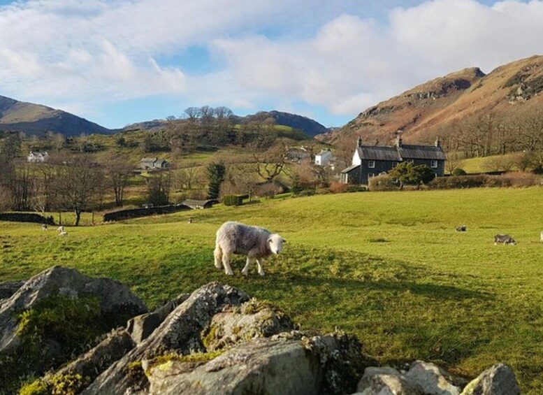 Picture 4 for Activity From Manchester: Lake District Including Lake Cruise & Train