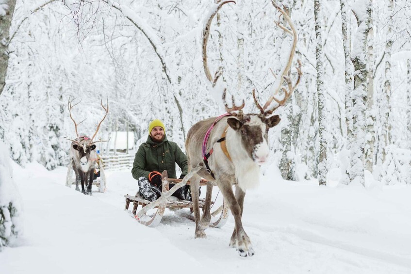 Picture 2 for Activity Rovaniemi: Arctic Highlights Tour with Santa & Reindeer