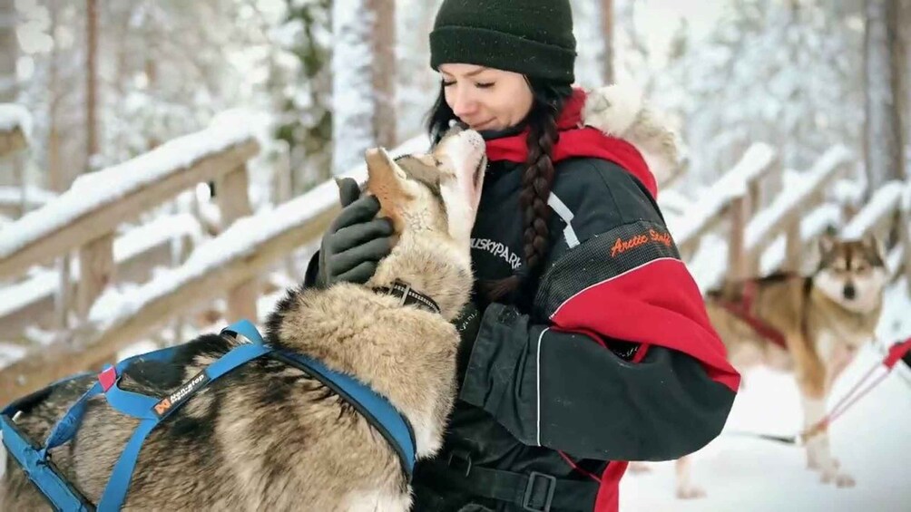 Picture 6 for Activity Rovaniemi: Arctic Highlights Tour with Santa & Reindeer