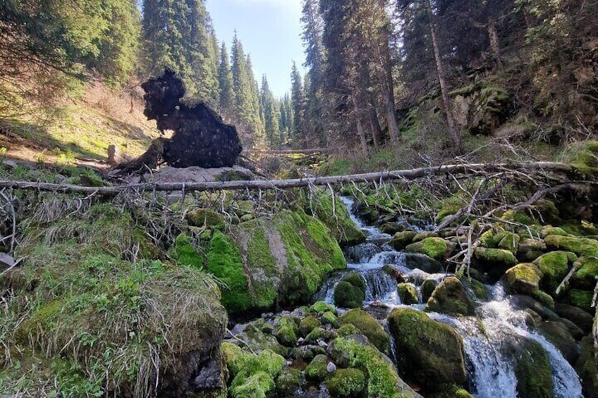 Horseback Riding Experience In Kyrgyzstan Countryside