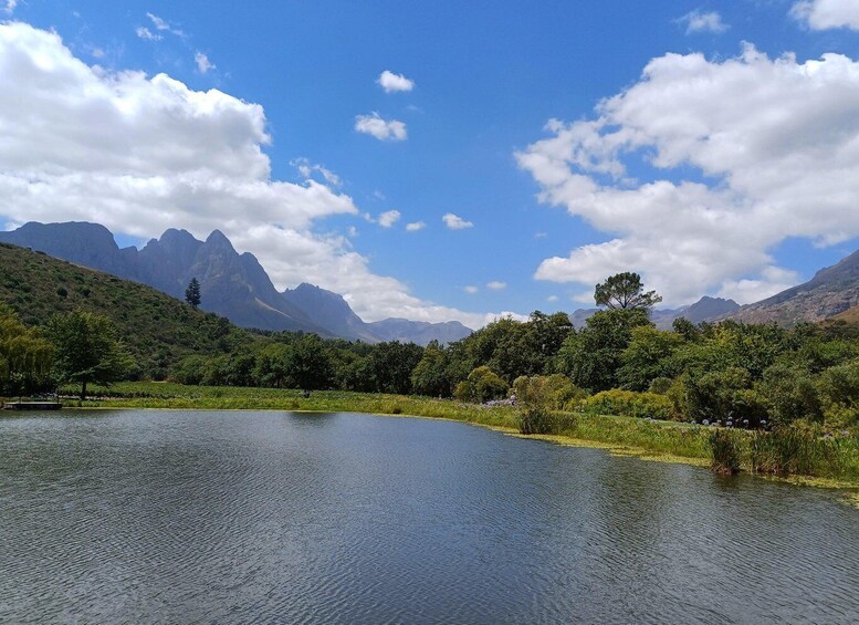 Picture 3 for Activity Stellenbosch wine tour, all inclusive of lunch and tastings.