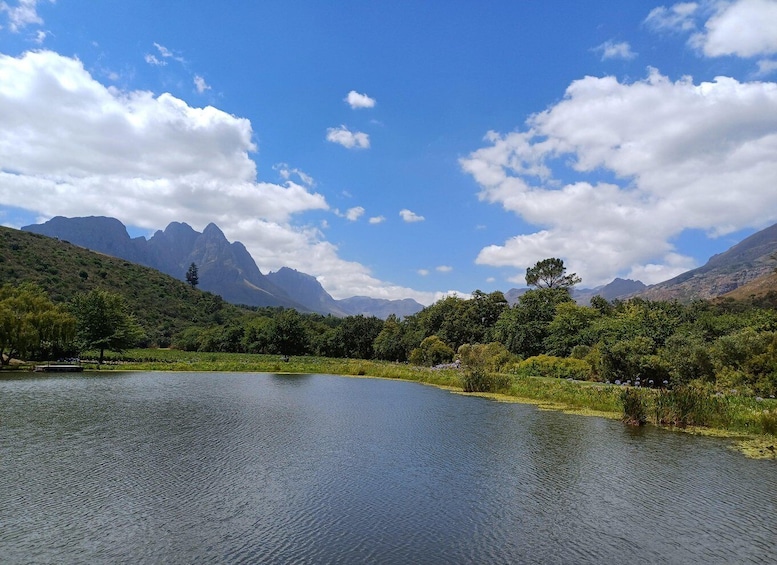 Picture 3 for Activity Stellenbosch wine tour, all inclusive of lunch and tastings.