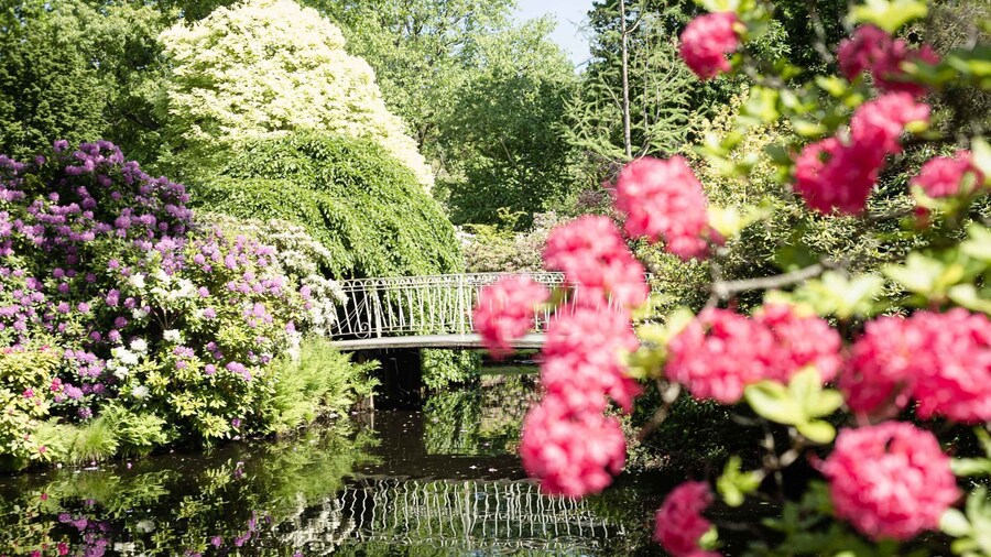 Rotterdam: Trompenburg Botanical Gardens Entry Ticket