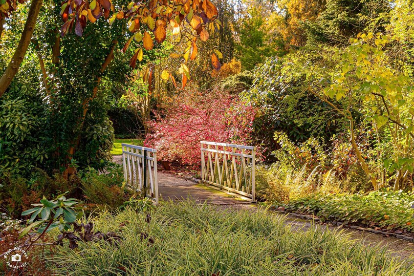 Picture 7 for Activity Rotterdam: Trompenburg Botanical Gardens Entry Ticket