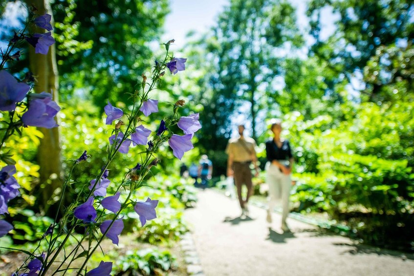 Picture 5 for Activity Rotterdam: Trompenburg Botanical Gardens Entry Ticket