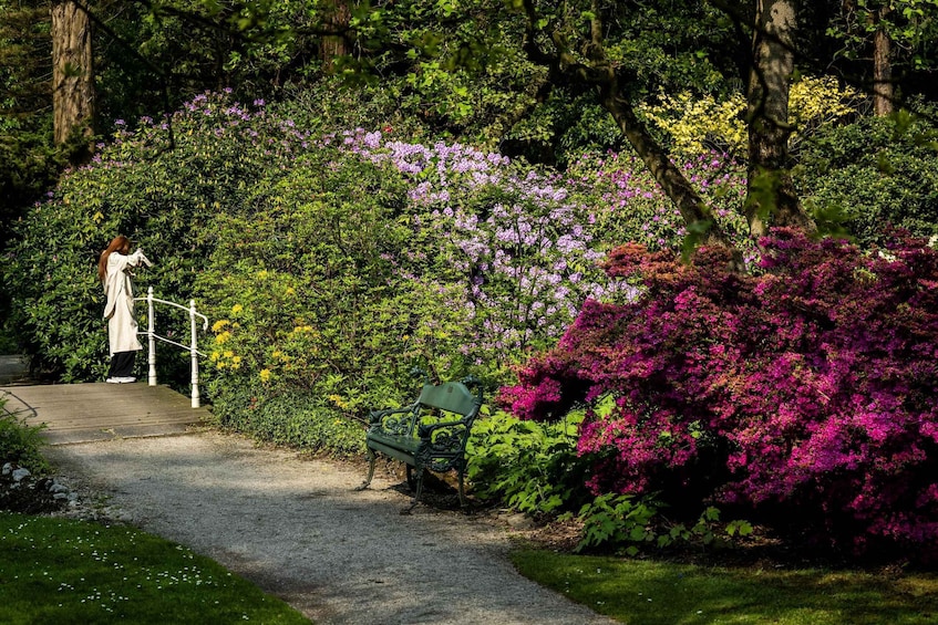 Picture 5 for Activity Rotterdam: Trompenburg Botanical Gardens Entry Ticket