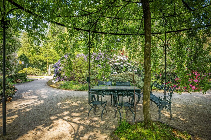 Picture 6 for Activity Rotterdam: Trompenburg Botanical Gardens Entry Ticket