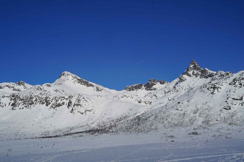 Picture 9 for Activity Tromsø: Snowshoeing in Scenic Landscape