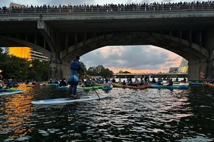 Congress Avenue Bat Bridge Paddleboard Tour