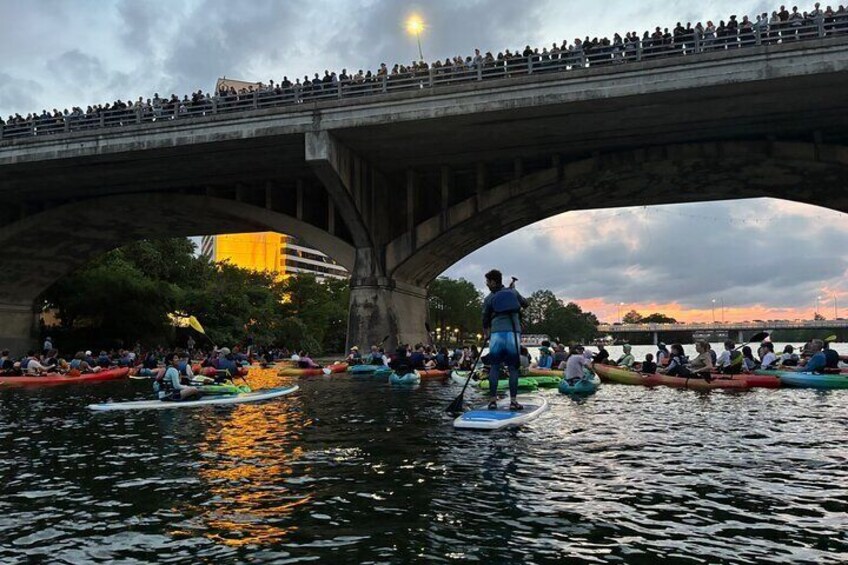 Congress Avenue Bat Bridge Paddleboard Tour