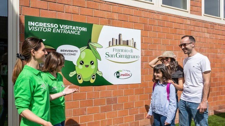 San Gimignano oil mill experience and oil tasting