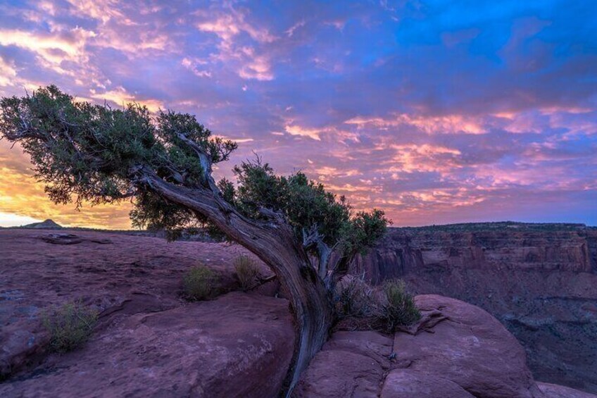 Moab Camping and Night Sky Photography Experience