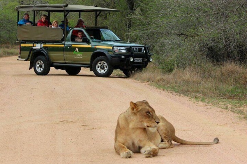 Full Day Safari - Kruger National Park