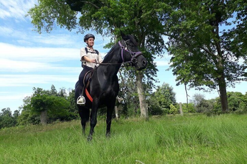 2 Hour Storms River Horse Trails Activity 