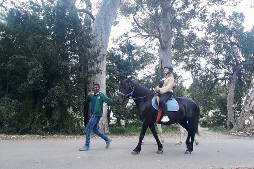 2 Hour Storms River Horse Trails Activity 