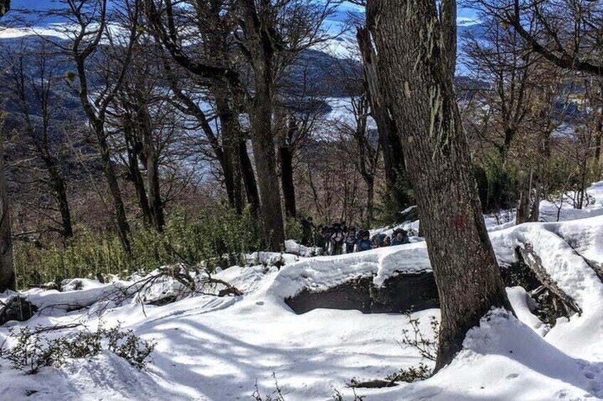 Private Snowshoe Hiking in Bariloche in Winter