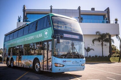 Tourist Bus Discover Montevideo