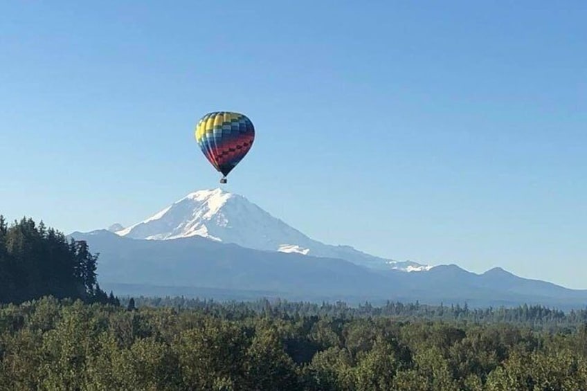 Majestic views on a nature walk in the sky