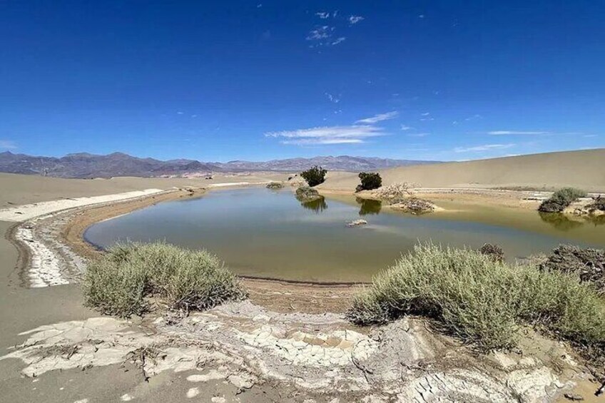 Death Valley on Mojave Desert VIP Small Group Tour from Las Vegas