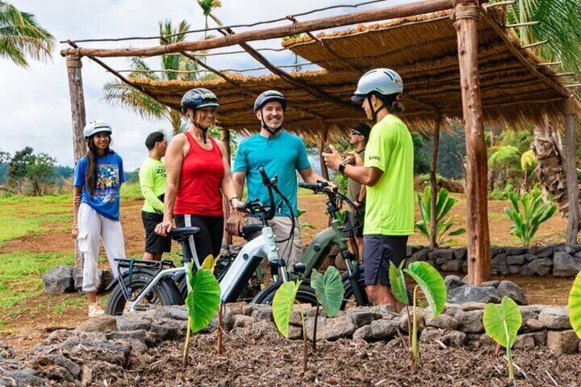 Umauma Falls eBike Tour in Hakalau 