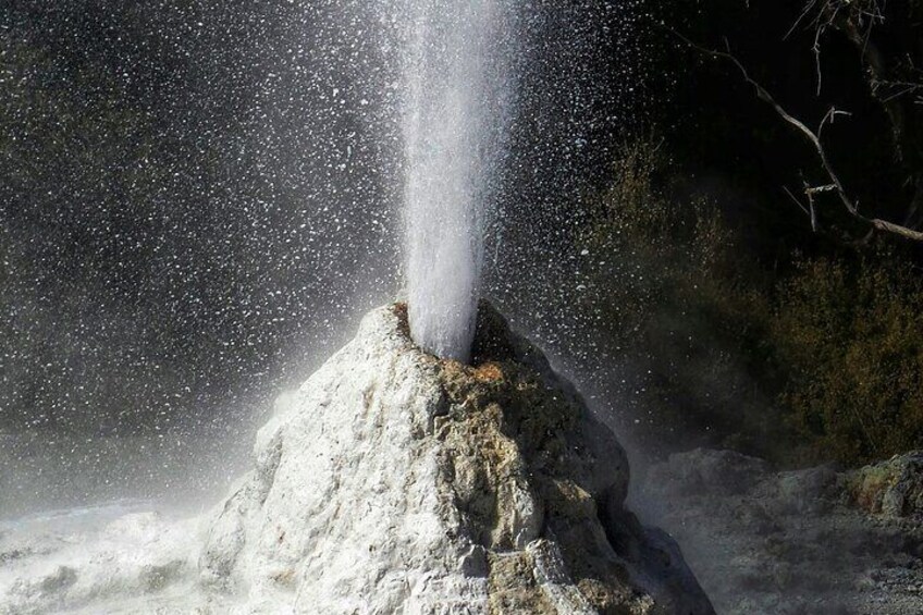 Private Luxury Auckland-Rotorua Geothermal Wonderlands