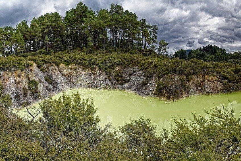 Private Luxury Auckland-Rotorua Geothermal Wonderlands