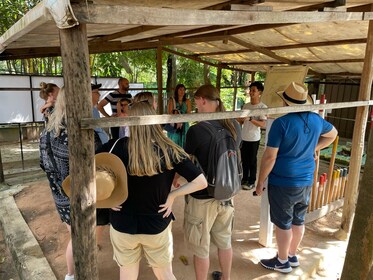 Kambodža: APOPO Siem Reap