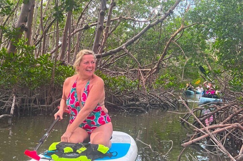 Guided Eco Island Activity: Kayak/Sup Manatees and Dolphins