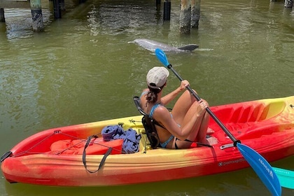 Best Value Guided Kayak Island Tour Standard & Clear Kayak & SUPs