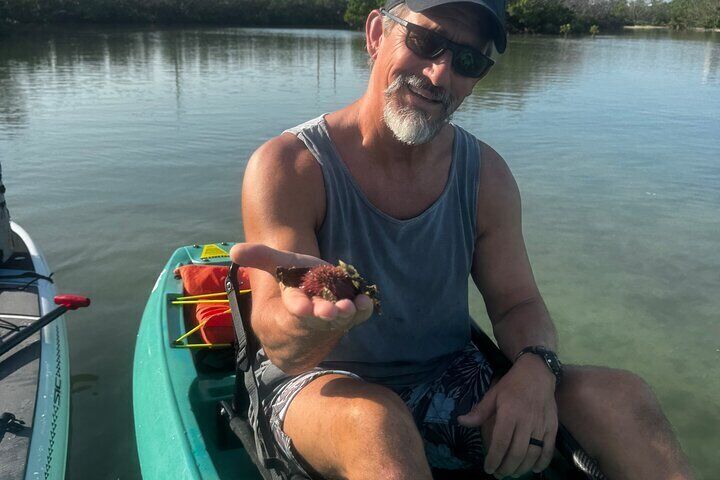 Bonita Springs Eco Kayak Tour – Best Gear, Premium&Clear Kayaks