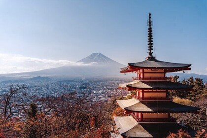 Mount Fuji and Surroundings Full Day Private Tour