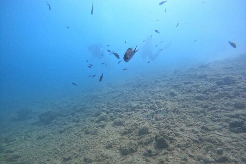 Chania Guided Snorkeling and Boat Excursion