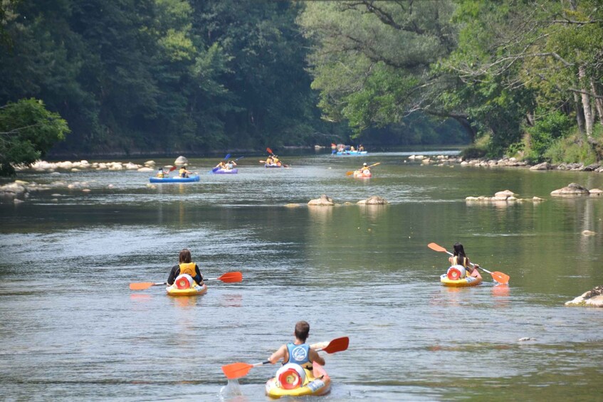 Cangas de Onís: Sella River Canoeing Adventure