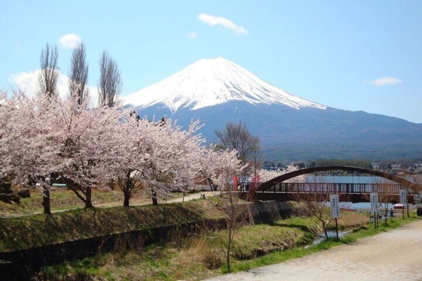 Yamanashi Prefecture