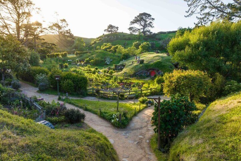 Hobbiton Day Tour, from Auckland 